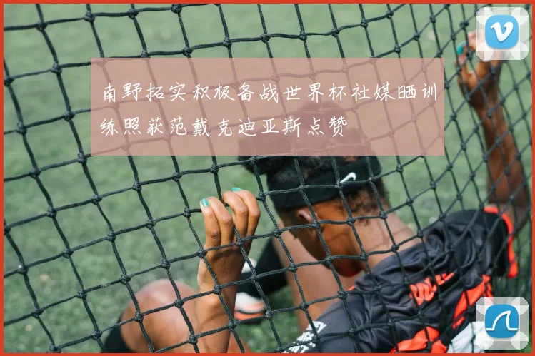 南野拓实积极备战世界杯社媒晒训练照获范戴克迪亚斯点赞